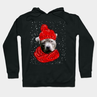 Pitbull Wearing Red Hat And Scarf In Snow Christmas Hoodie